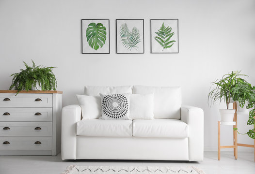 Beautiful paintings of tropical leaves over sofa in living room interior
