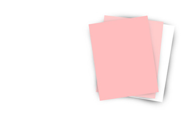 Mock up Pastel paper flower on white background