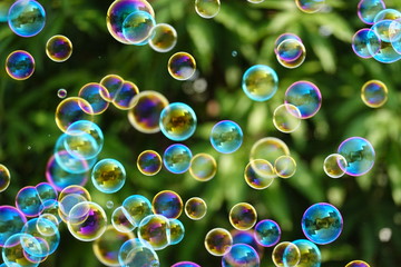 Many soap bubbles on a blurred green nature background. - obrazy, fototapety, plakaty