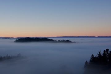 Sea of fog with forest island in sunset light