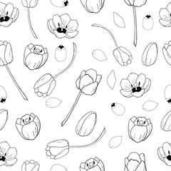 tulips seamless pattern on white background in black and white. Tulips background for packing. Hand drawn illustration of tulips in black and white. Black and white line art illustration