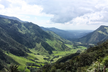 Fototapeta na wymiar Cocora Valley, which is nestled between the mountains of the Cordillera Central in Colombia.