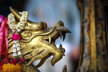 Dragon in Chinese new year in China town