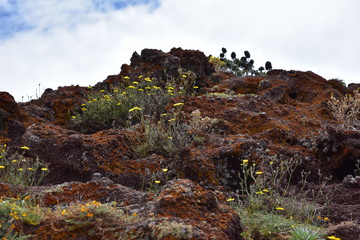 Landscape of Point of Saint Lawrence (Ponta de Sao Lourenco), easternmost point of the island of Madeira, Portugal.