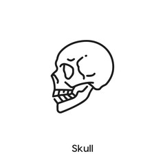 skull icon vector . skull sign symbol