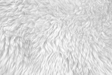 White real wool with beige top texture background. light cream natural sheep wool.  seamless plush...