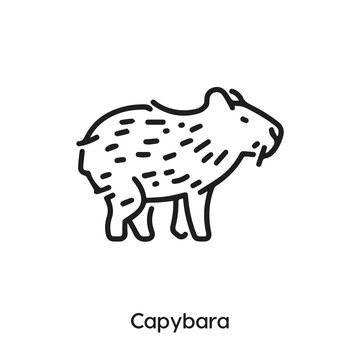 capybara icon vector . capybara sign symbol