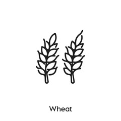 wheat icon vector. grain icon vector symbol illustration. Modern simple vector icon for your design. wheat and grain icon vector.	