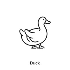 duck icon vector. water flying bird icon vector symbol illustration. Modern simple vector icon for your design. water flying bird icon vector	
