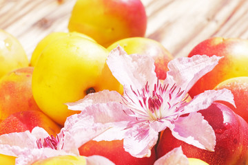 Nectarine Close-Up On A Wooden Table