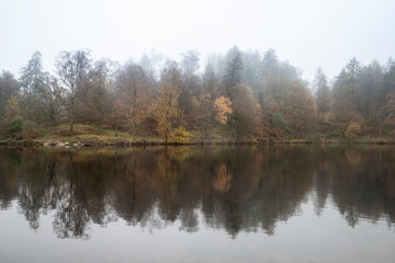 Fototapeta na wymiar Beautiful mody Autumn Fall landscape of woodland and lake with mist fog during early morning