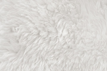 White real wool with beige top texture background. light cream natural sheep wool.  seamless plush cotton, texture of fluffy fur for designers