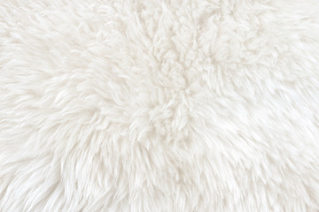 White real wool with beige top texture background. light cream natural sheep wool.  seamless plush cotton, texture of fluffy fur for designers - obrazy, fototapety, plakaty