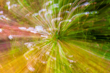Abstract image of white daisies on a green field of radial shape