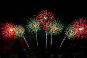 fireworks in the night sky