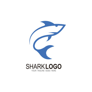 Shark logo with line design vector