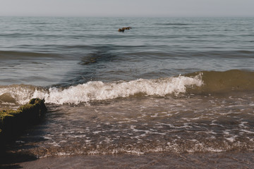 Beach near Ustronie Morskie © RegnumInvictum