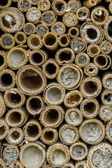 Reeds a part of an insect hotel
