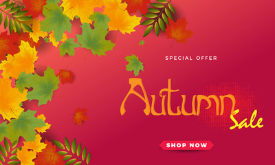 Autumn leaves background. vector illustration.Promotion sale banner of autumn season.