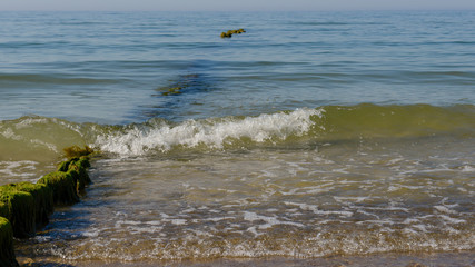 Beach near Ustronie Morskie © RegnumInvictum
