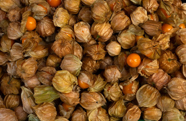 background of gooseberry