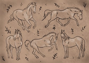  pattern with horses. Hand drawn horses sketch