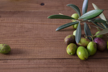 olives with branch on wood