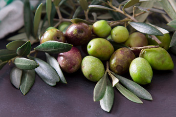 olives with branch on the table