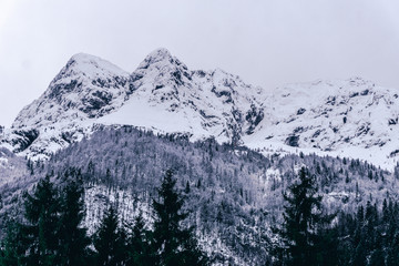 Obraz premium The snowy mountains, the forest and the nature of the Alps during a winter day near the town of Ardesio, Italy - December 2019.