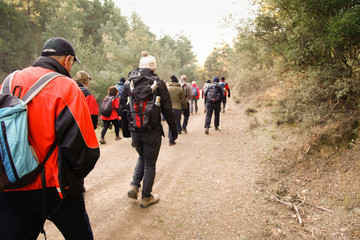 Group of Trekkers walking in the mountains in sunny day. Hikers exploring new places in the...