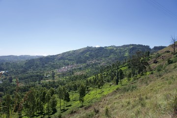Naklejka premium view of mountains