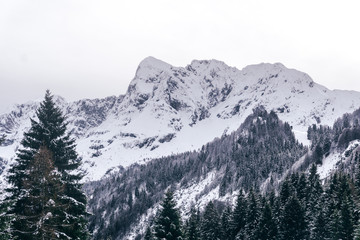 The snowy mountains, the forest and the nature of the Alps during a winter day near the town of Ardesio, Italy - December 2019.