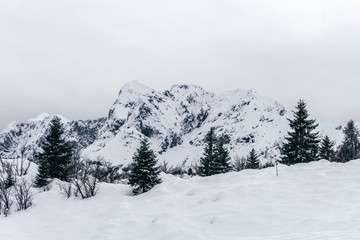 Obraz premium The snowy mountains, the forest and the nature of the Alps during a winter day near the town of Ardesio, Italy - December 2019.