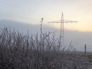 Fototapeta premium Stromleitungen im Nebel
