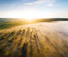 Attractive top view on rural landscape at dawn.