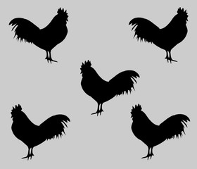Chicken silhouette background vector illustration