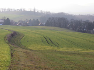 Landschaft in der Oberlausitz