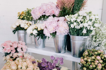 flowers on a background of light wall