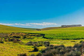 Fototapeta na wymiar south africa