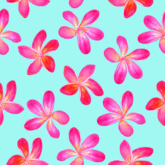Fototapeta premium Plumeria rubra (acuminata, acutifolia, lutea, rangipani, red paucipan, red-jasmine, red frangipani, common frangipani, temple tree) flowers watercolor illustration, seamless pattern design on white