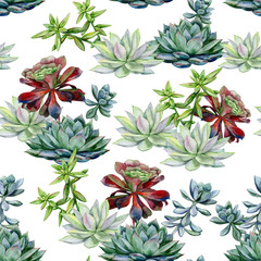 Succulents seamless pattern, echeveria illustration, botanical painting of dudleya and zwartkop. Stone rose. Sempervivum art. Watercolor elements for design of invitations, movie posters, fabrics. - 317923874