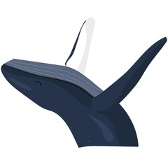 whale of different gesture poses. whale vector illustration isolated on white background. humpback whale