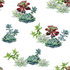 Succulents seamless pattern, echeveria illustration, botanical painting of dudleya and zwartkop. Stone rose. Sempervivum art. Watercolor elements for design of invitations, movie posters, fabrics. - 317923889