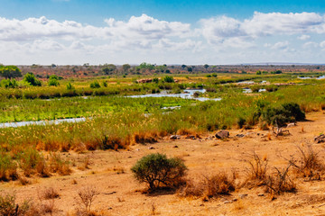 landscape with fields and trees