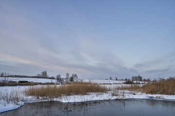 Winter landscape-frosty trees in a snow-covered birch forest on a Sunny morning. Calm winter nature in sunlight