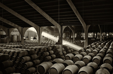 Bodega