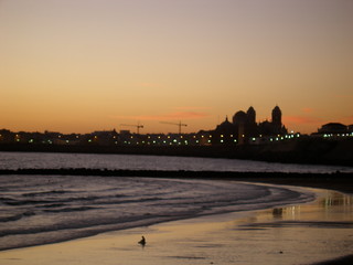 OLYMPUS DIGITAL CAMERA © Emilio del Moral