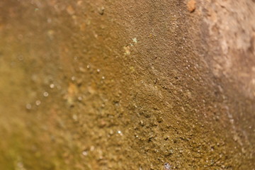 beautiful background and texture