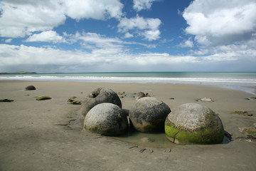 Nowa Zelandia, Wyspa Połudnowa, Oamaru,  Moeraki Boulders ( Głazy)
