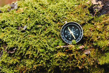 A compass on the trunk of a tree with green moss in the forest. Adventure and excursions concept.